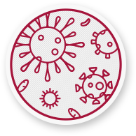 Bakterier og virus