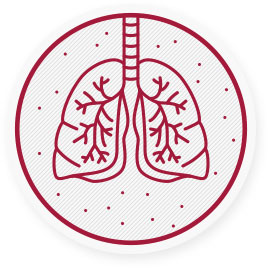 El polvo fino reduce la esperanza de vida y es responsable de muchas enfermedades, principalmente del sistema respiratorio. → Las partículas respirables alcanzan nuestros bronquios y terminan en nuestro torrente sanguíneo.
